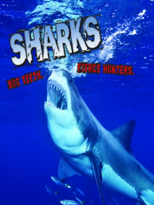 cover image of Sharks! Big Teeth. Fierce Hunters
